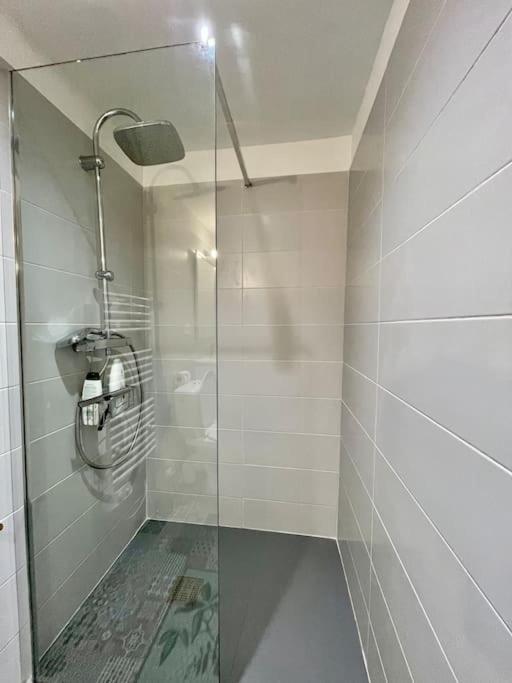 Appartement Confort - Carcassonne Centre Eksteriør billede